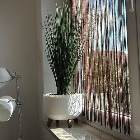 Apartament 11 - Bad Suelze *